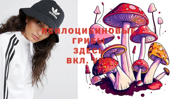 mdpv Алзамай