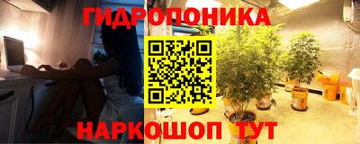 эйфоретик Заводоуковск