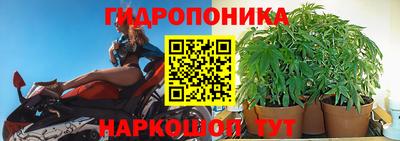 спайс Жуковский